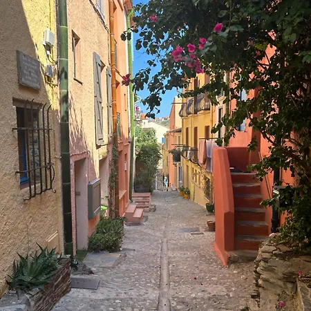 Petite Maison Quartier Hist 아파트 *