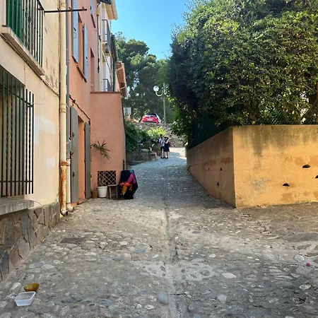 Petite Maison Quartier Hist 아파트