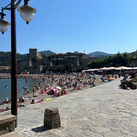 Petite Maison Quartier Hist Apartman Collioure